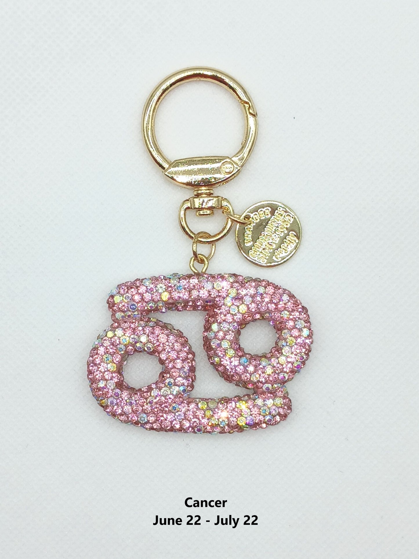 Bling Zodiac Rhinestone Keychain Bag Charm