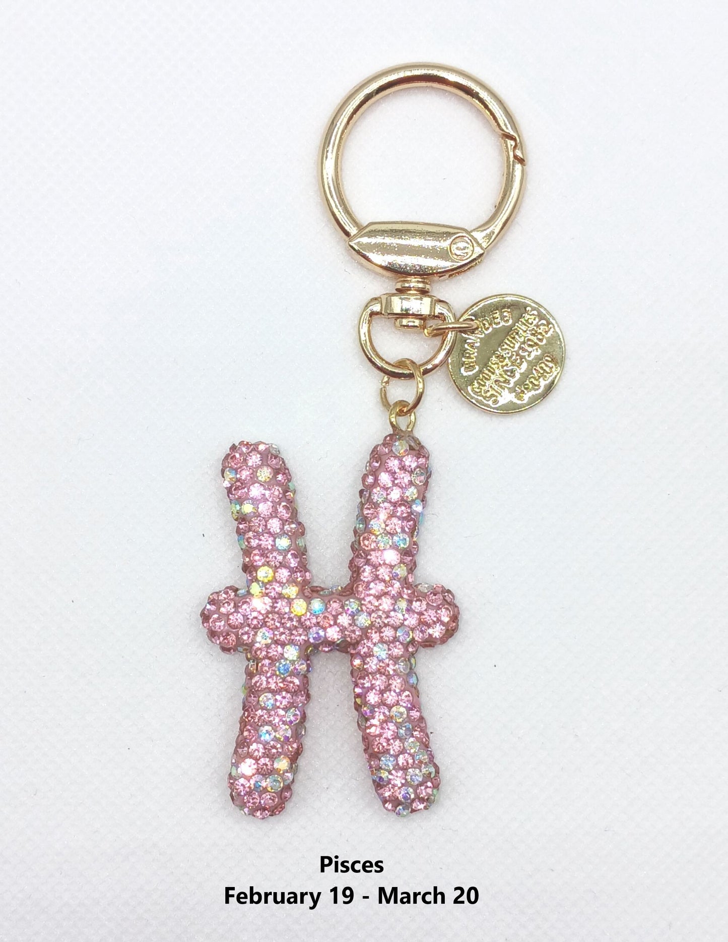 Bling Zodiac Rhinestone Keychain Bag Charm