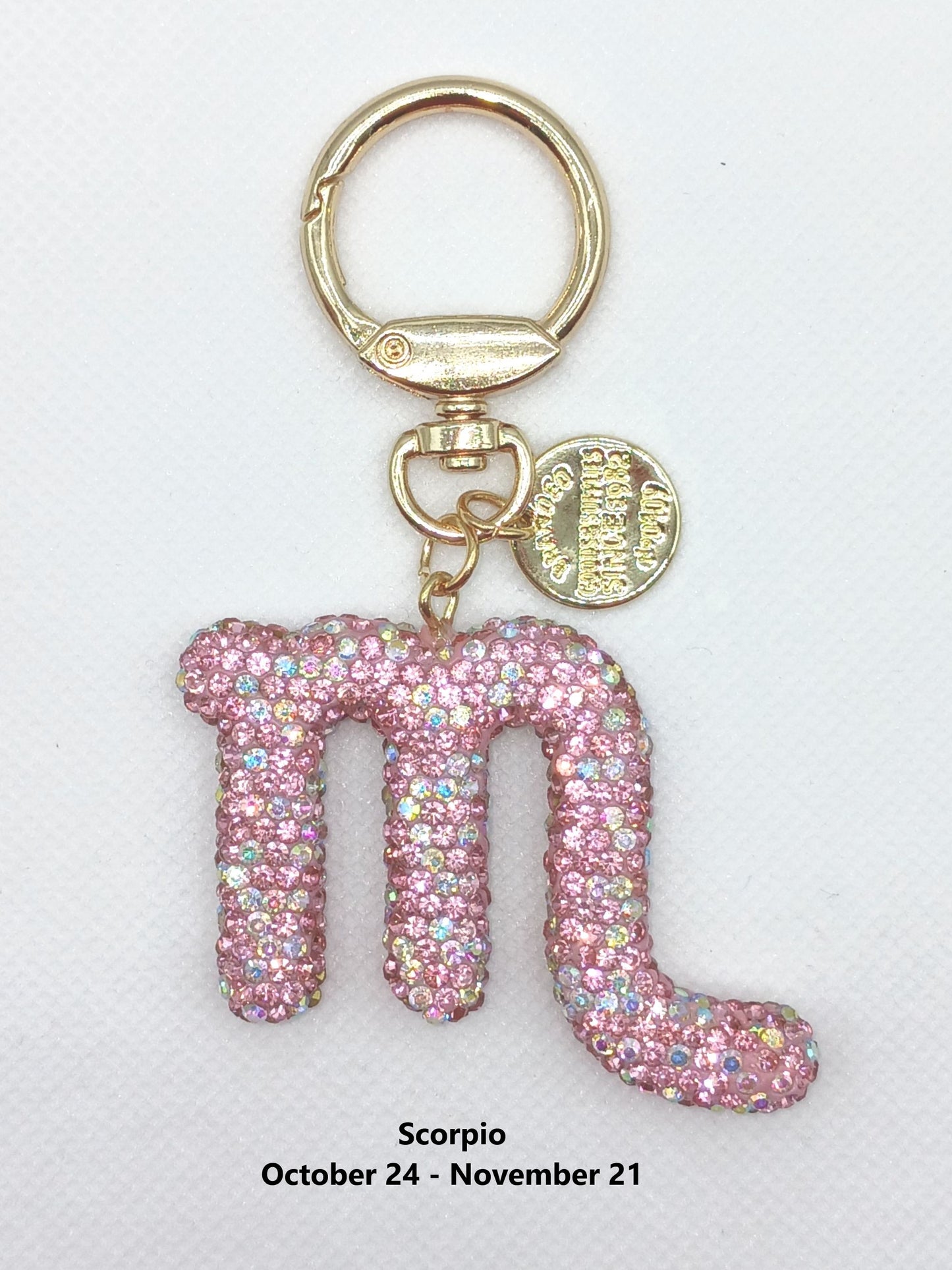 Bling Zodiac Rhinestone Keychain Bag Charm